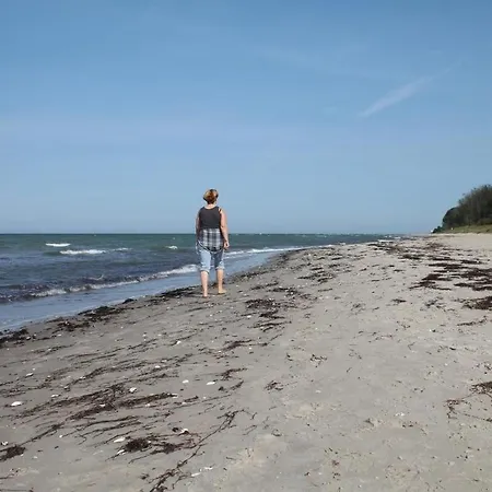 Kranich Groß Schwansee